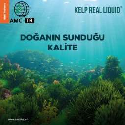 KELP REAL LIQUID