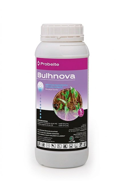 Bulhnova