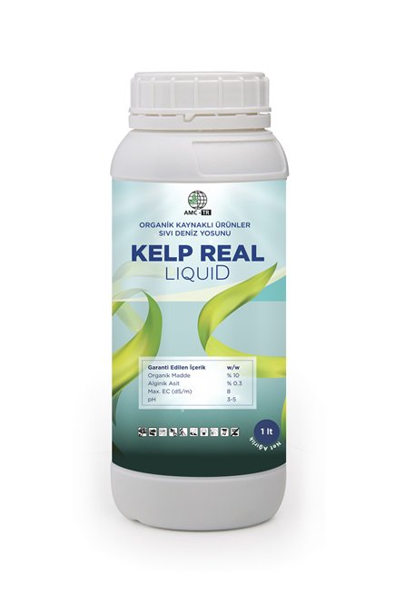 kelp-real