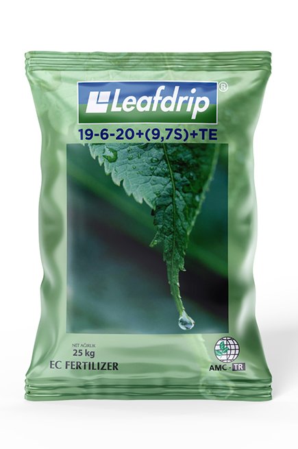 leafdrip 19-6-20+(9,7S9+TE