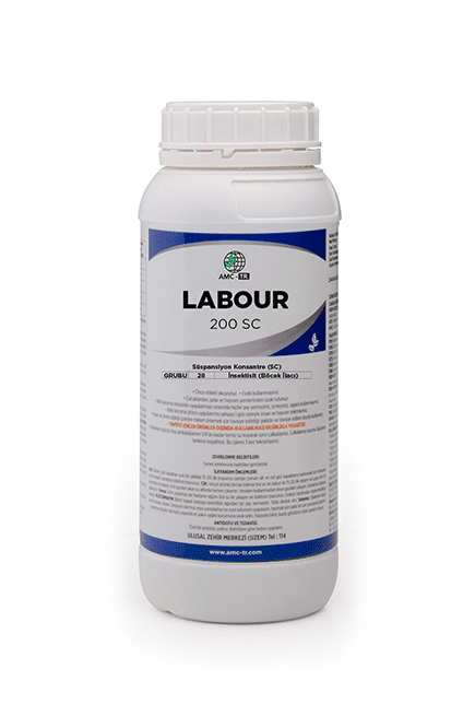 Labour