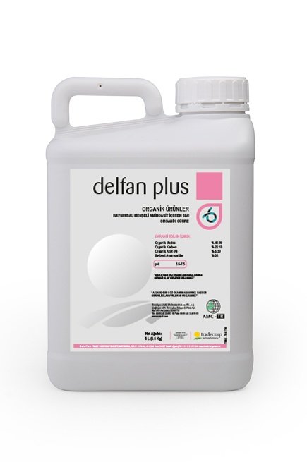 delfan-435x655