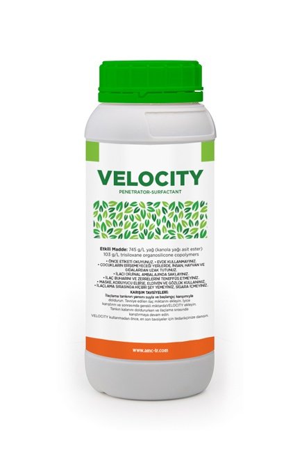 velocity