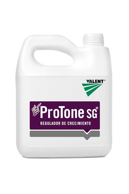 Protone-Sg