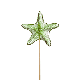 CL-10 CAM DENİZ YILDIZI