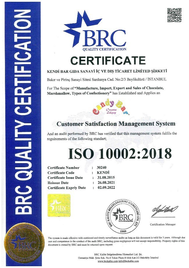 ISO 10002 - İNGİLİZCE - 2022