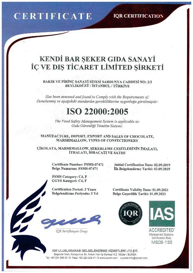 ISO 220002005 IQR-TÜRKÇE-İNGİLİZCE-2021