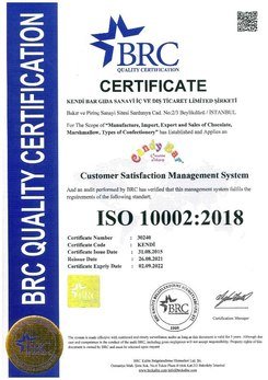 ISO 10002 - İNGİLİZCE - 2022