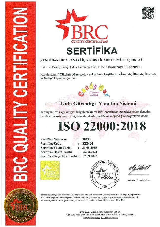 ISO 22000 - TÜRKÇE - 2022