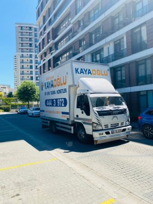 WhatsApp Image 2022-07-05 at 21.02.16