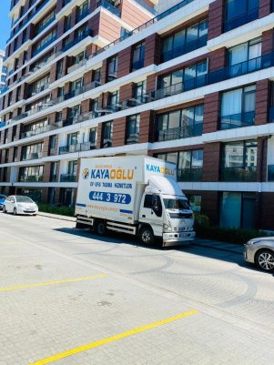 WhatsApp Image 2022-07-05 at 21.02.17