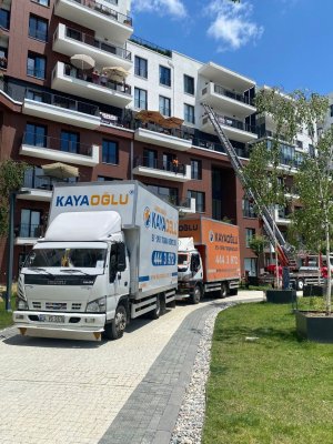 WhatsApp Image 2022-06-24 at 17.14.04