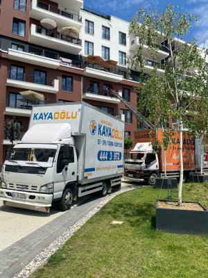 WhatsApp Image 2022-06-24 at 17.14.08