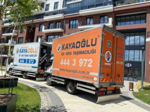 WhatsApp Image 2022-06-24 at 17.14.06