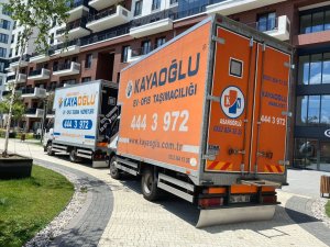 WhatsApp Image 2022-06-24 at 17.14.05