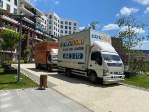 WhatsApp Image 2022-06-24 at 17.14.01 (3)