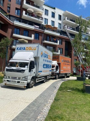 WhatsApp Image 2022-06-24 at 17.14.03