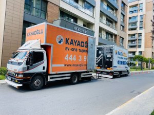 WhatsApp Image 2022-06-24 at 17.13.53 (1)