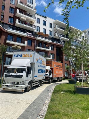 WhatsApp Image 2022-06-24 at 17.14.01