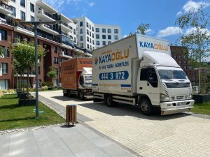 WhatsApp Image 2022-06-24 at 17.14.00