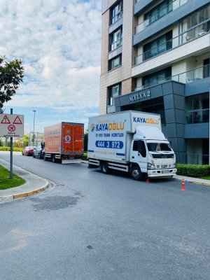 WhatsApp Image 2022-06-24 at 17.13.46