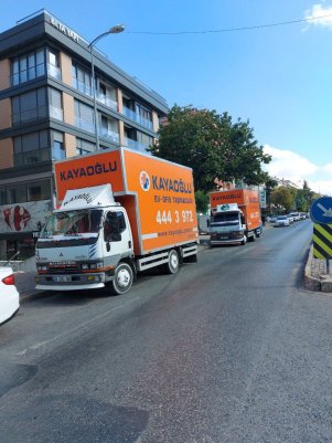 WhatsApp Image 2022-07-03 at 10.41.39 (1)