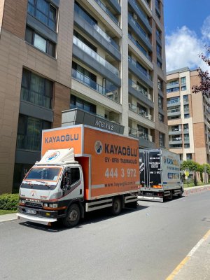 WhatsApp Image 2022-06-24 at 17.14.10