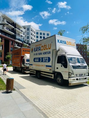 WhatsApp Image 2022-06-24 at 17.14.15