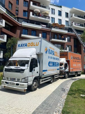 WhatsApp Image 2022-06-24 at 17.14.07 (1)