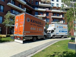 WhatsApp Image 2022-06-24 at 17.14.09 (1)