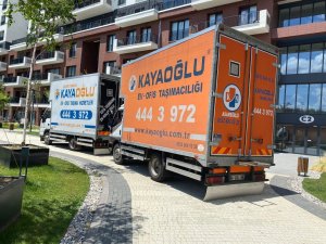 WhatsApp Image 2022-06-24 at 17.14.07 (2)