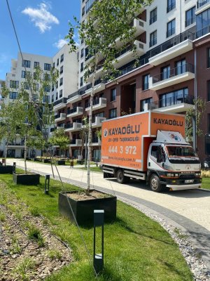 WhatsApp Image 2022-06-24 at 17.14.07