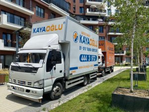 WhatsApp Image 2022-06-24 at 17.14.01 (2)