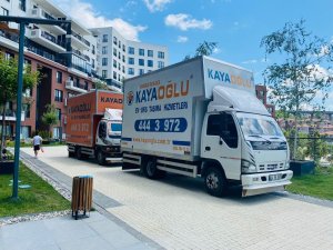 WhatsApp Image 2022-06-24 at 17.14.03 (2)