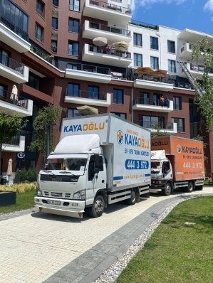 WhatsApp Image 2022-06-24 at 17.14.04 (1)