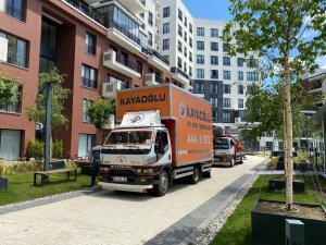 WhatsApp Image 2022-06-24 at 17.14.01 (1)