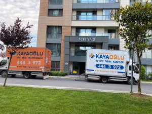 WhatsApp Image 2022-06-24 at 17.13.54