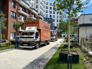 WhatsApp Image 2022-06-24 at 17.13.56