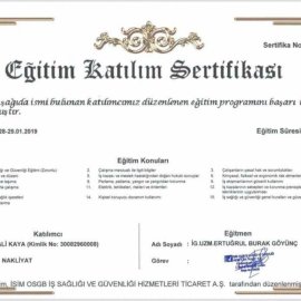 Kayaoğlu Nakliyat | Güven Taşır