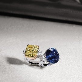 CRIVELLI JEWELRY IL RIGORE DEI CONTRASTI N. 2