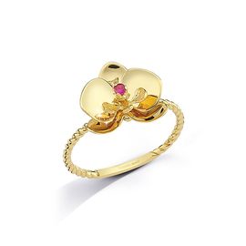 ROBERTO BRAVO DE ROSA ORHR0017