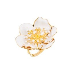 ROBERTO BRAVO DE ROSA WDHR0001