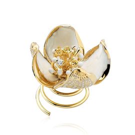 ROBERTO BRAVO DE ROSA WDXH0003