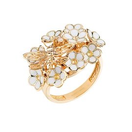 ROBERTO BRAVO DE ROSA WDHR0006