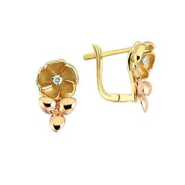 ROBERTO BRAVO DE ROSA KAHE0007