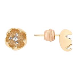 ROBERTO BRAVO DE ROSA KAHE0020