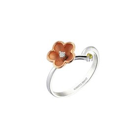 ROBERTO BRAVO DE ROSA KAHR0005