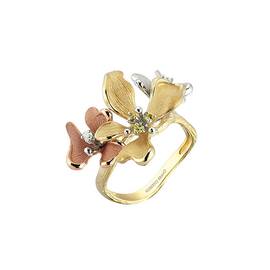 ROBERTO BRAVO DE ROSA KAHR0010