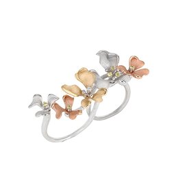 ROBERTO BRAVO DE ROSA KMXR0009