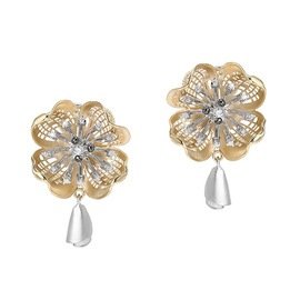 ROBERTO BRAVO DE ROSA GLHE0036